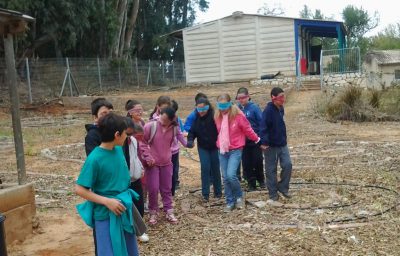 סדנת "חוויה בחווה" – כיתות צעירות